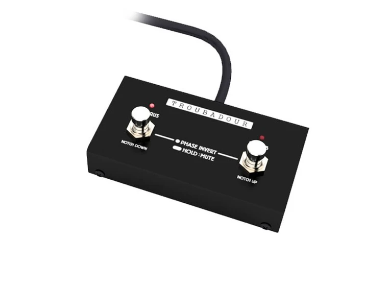 Ibanez IFS-2U Dual Foot switch 